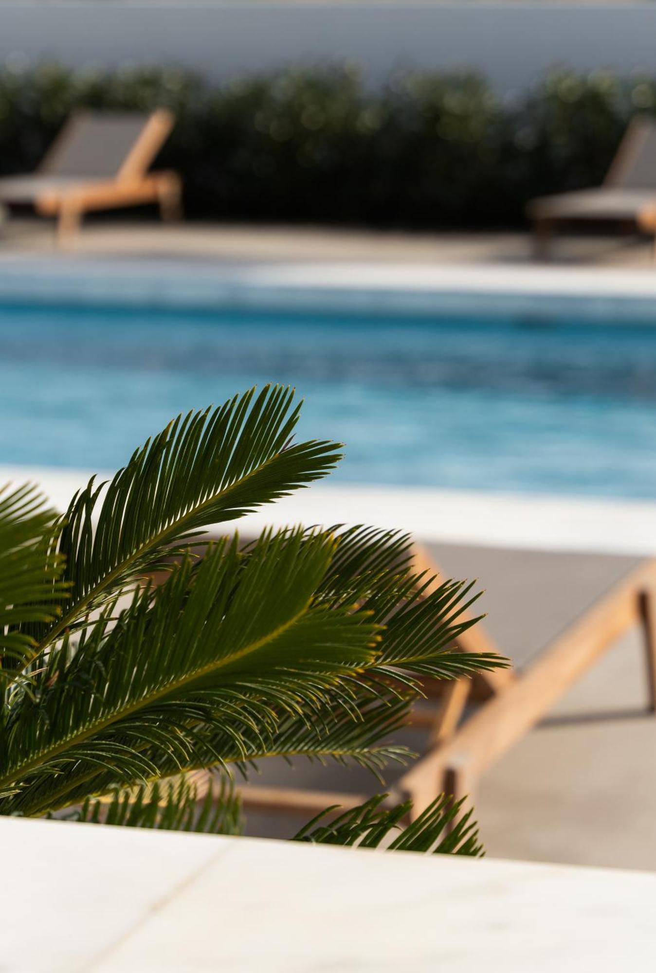 Tzanis Resort 스키로스 외부 사진